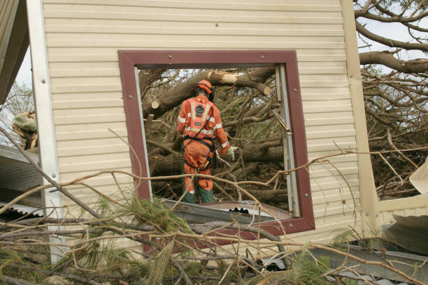 Best Tree Trimming and Pruning  in Bolivar Peninsula, TX